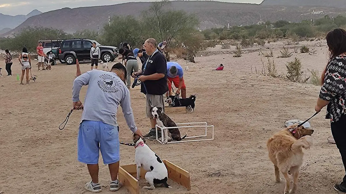 adiestramiento perro la paz 1